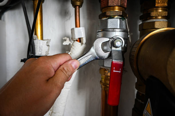 Best Clogged Drain Plumber  in New Baltimore, MI